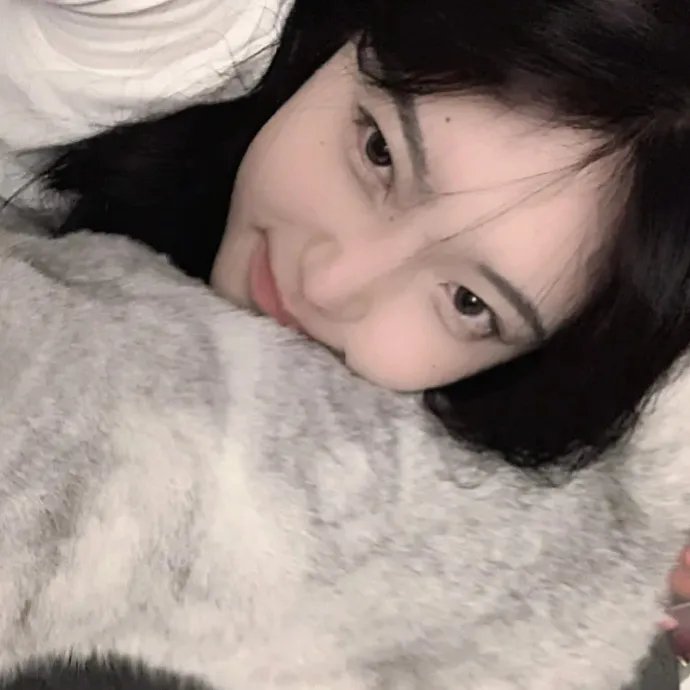 乐高玩电影 在线观看